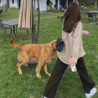 爱情盲选第四季