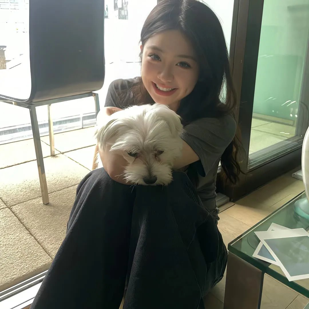 Shark Attack (1999年美国电视电影)